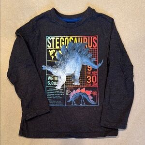 Kids Dinosaur Graphic Long Sleeve Shirt - Dark Gray